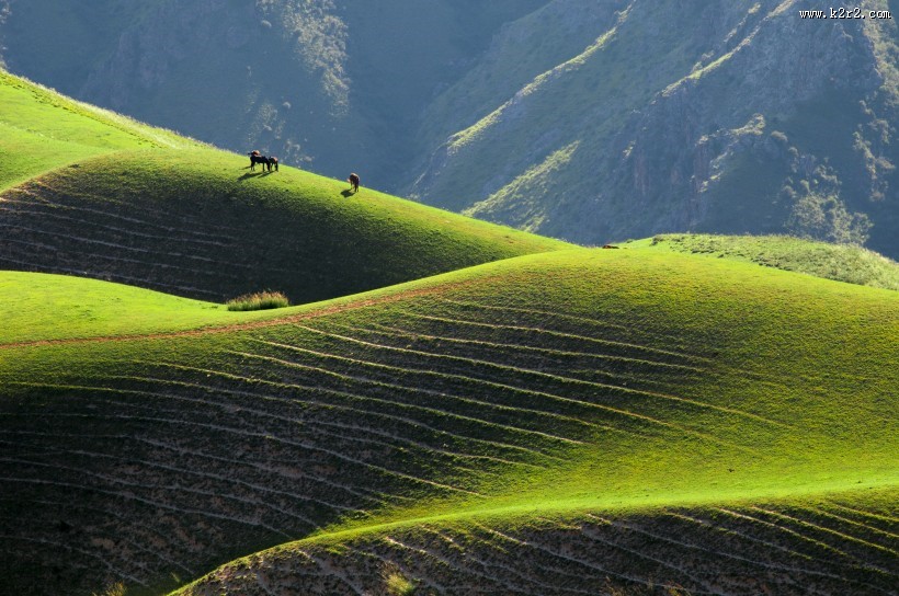 新疆特克斯草原秀丽风景图片