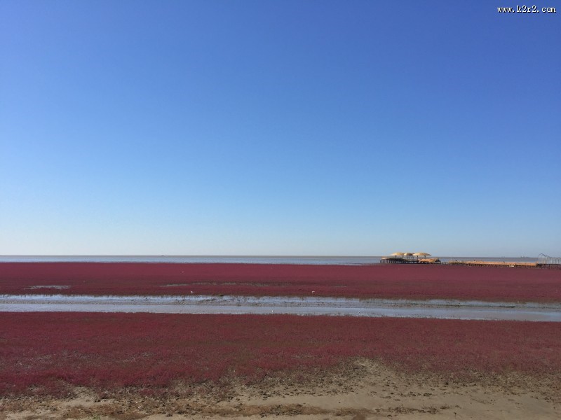 辽宁，盘锦红海滩风景图片