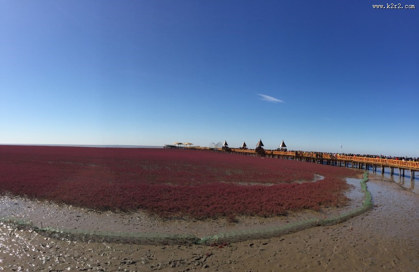 辽宁，盘锦红海滩风景图片