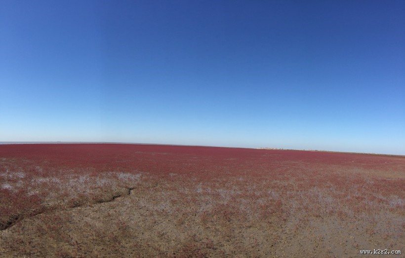 辽宁，盘锦红海滩风景图片