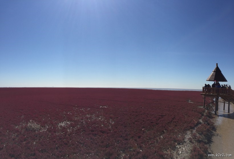 辽宁，盘锦红海滩风景图片
