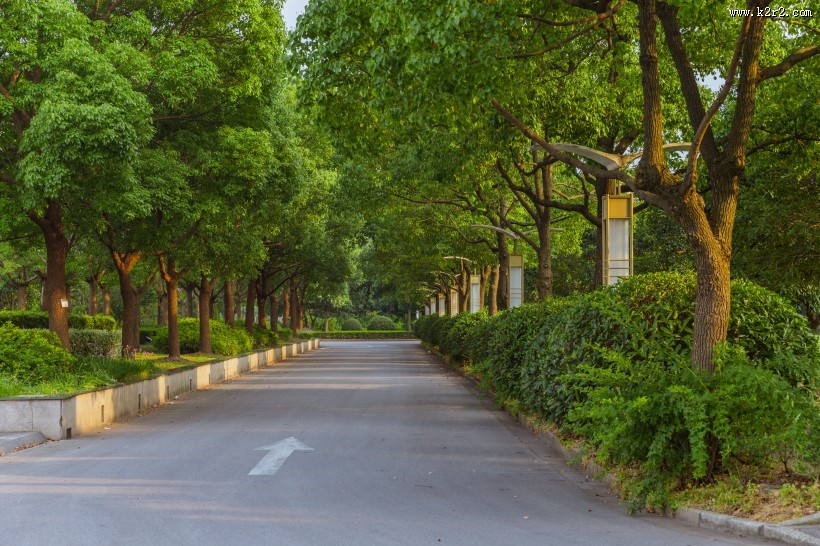 上海视觉艺术学院校园风景图片