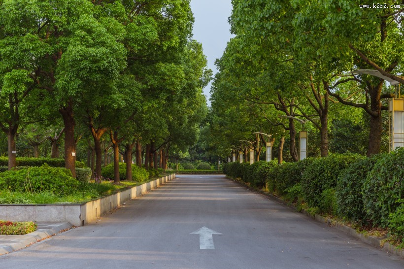 上海视觉艺术学院校园风景图片
