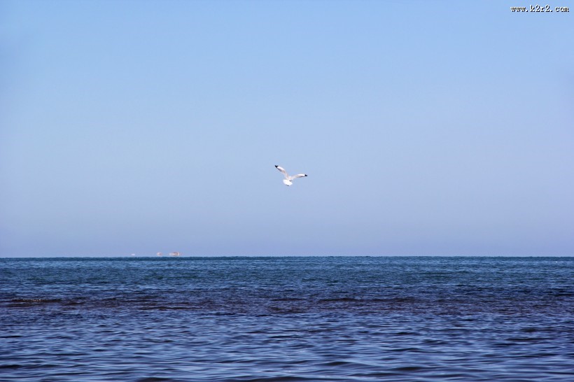 淡雅娴静的青海湖图片