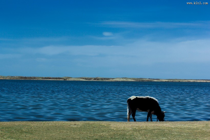 淡雅娴静的青海湖图片