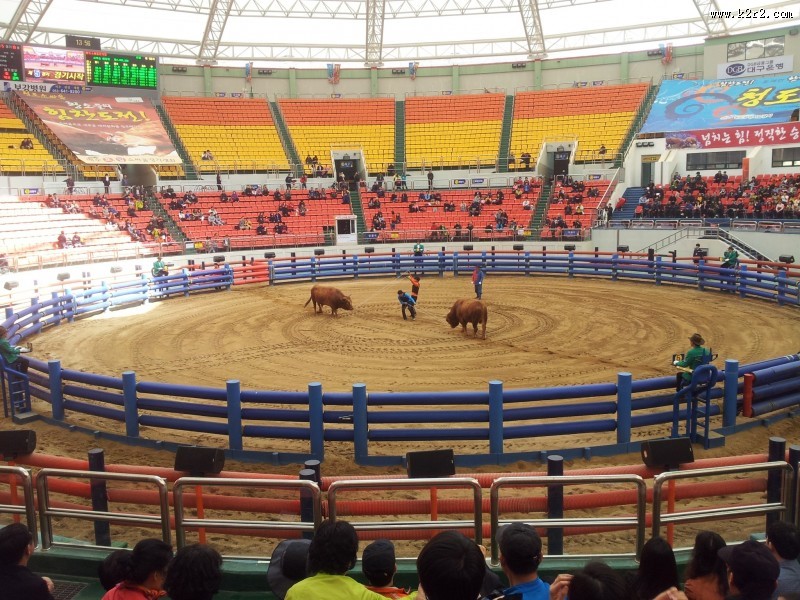 山东青岛风景图片
