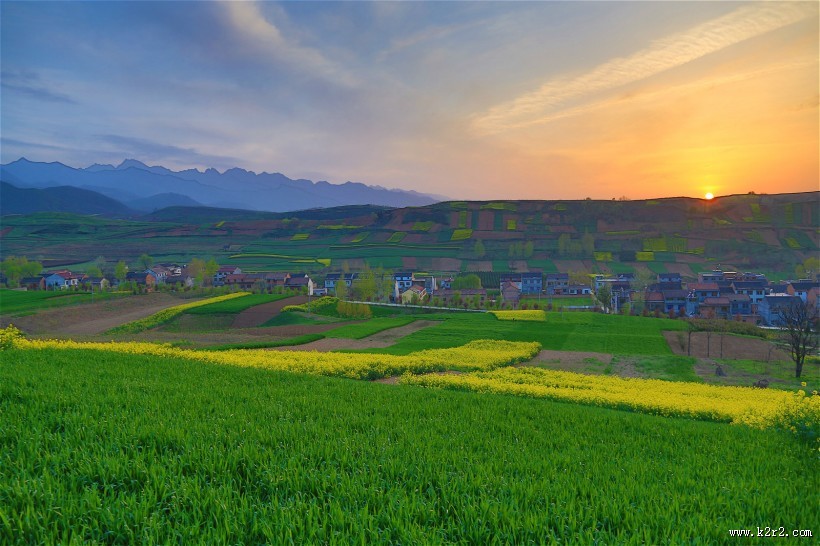 陕西西安鲍旗寨村油菜花风景图片