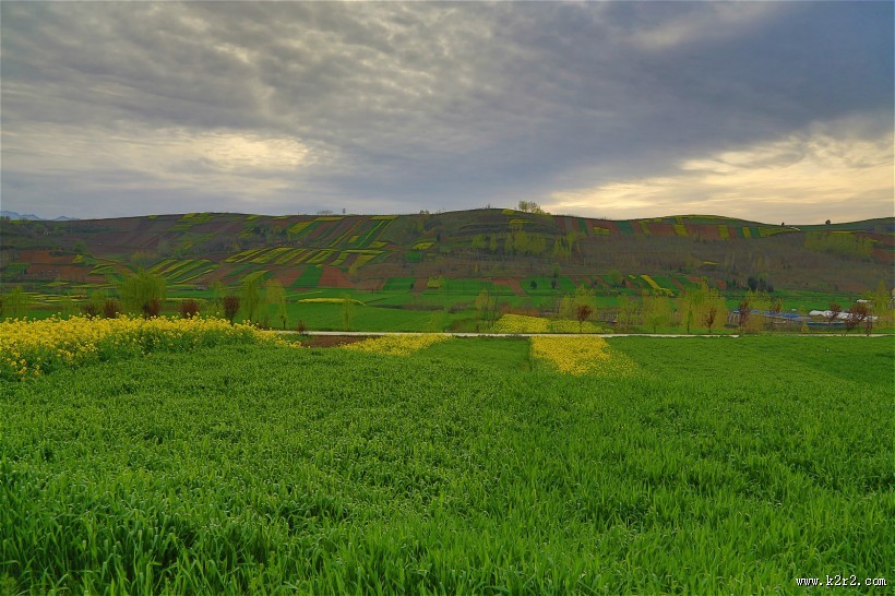 陕西西安鲍旗寨村油菜花风景图片