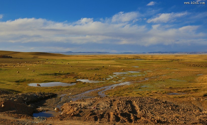 西藏班戈草原风景图片