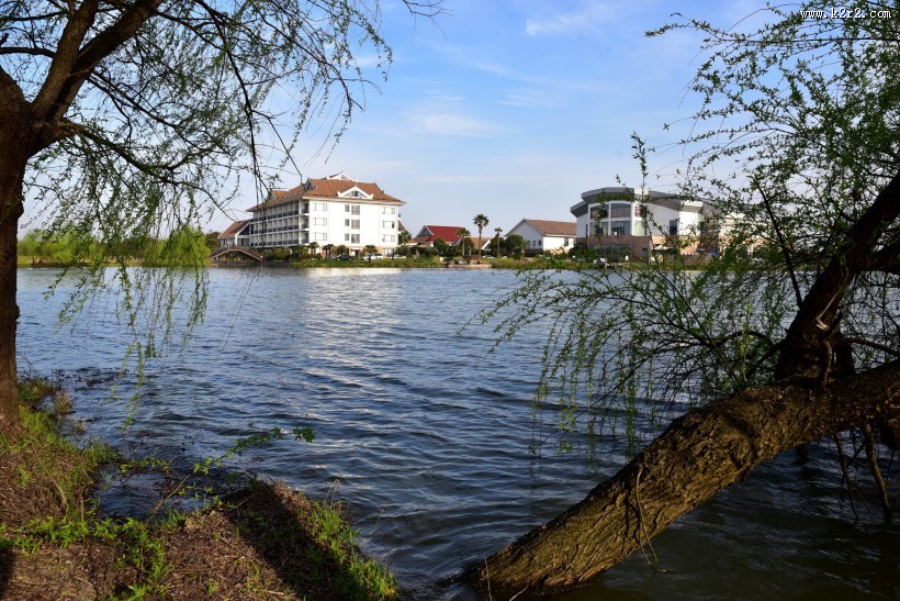 上海松江雪狼湖生态园风景图片