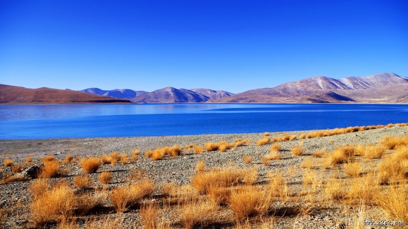 西藏羊卓雍错风景图片大全