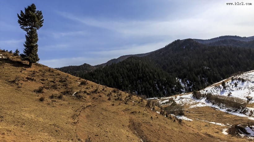 宁武马仑草原风景图片