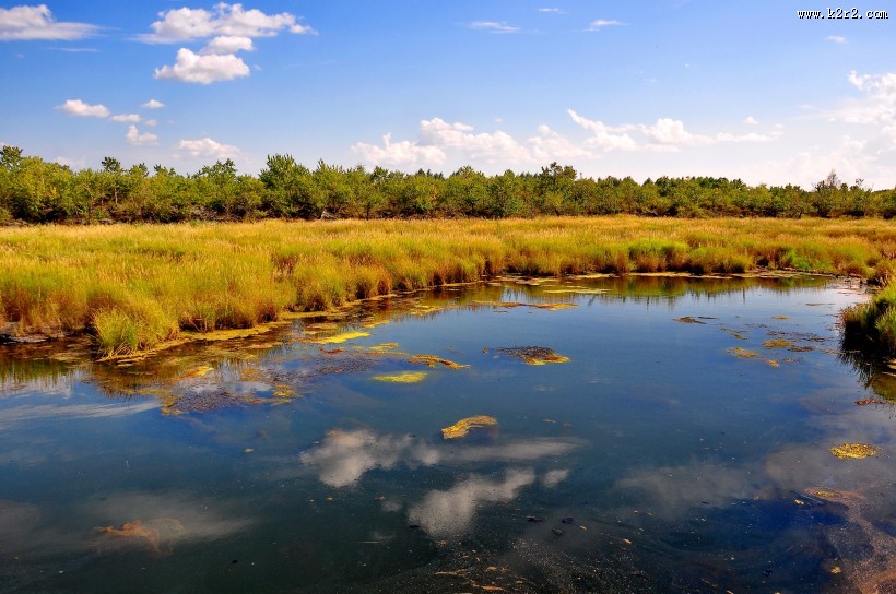五大连池温泊风景图片