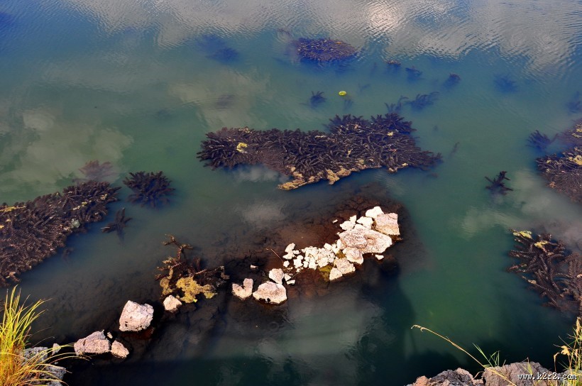 五大连池温泊风景图片