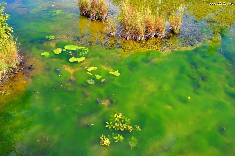 五大连池温泊风景图片