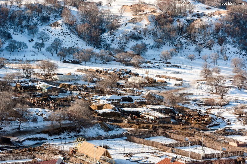 冬日坝上风景图片