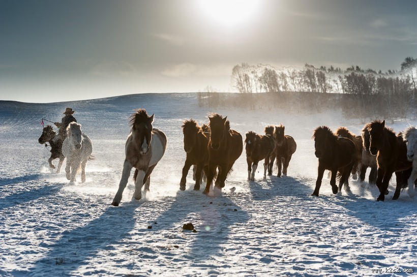 冬日坝上风景图片