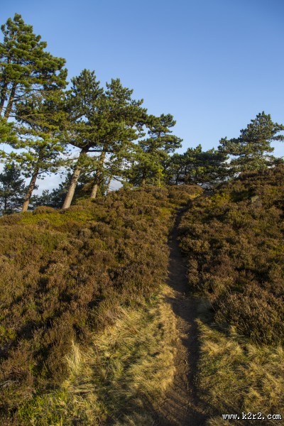 英国约克郡野外风景图片大全
