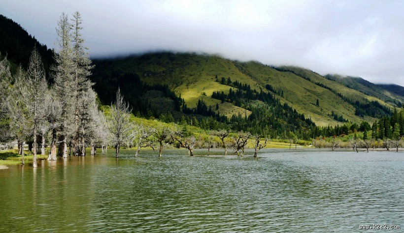 四川四姑娘山撵鱼坝风景图片