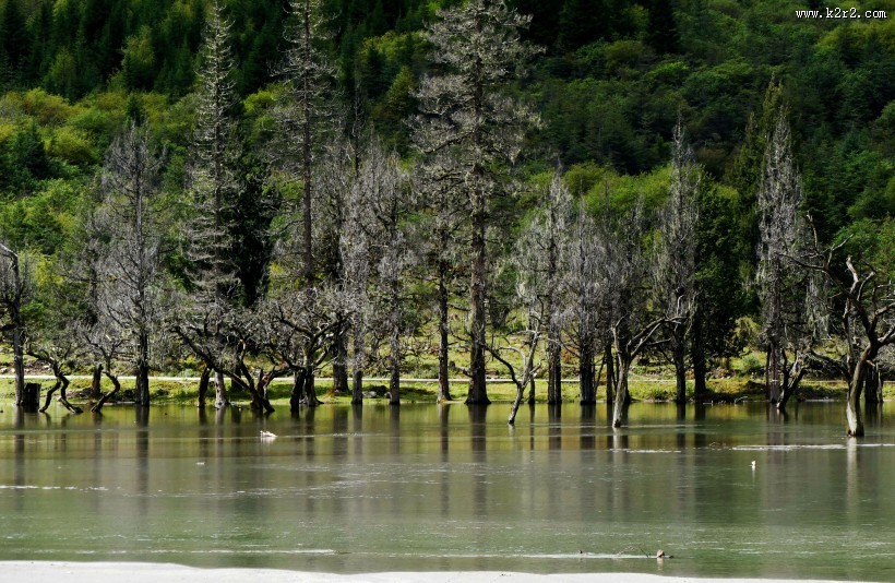 四川四姑娘山撵鱼坝风景图片