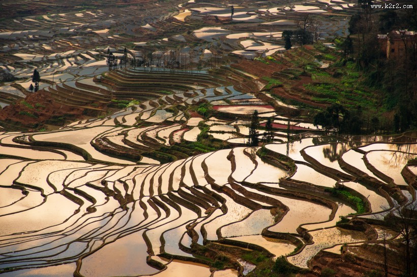 云南元阳梯田真实风景图片
