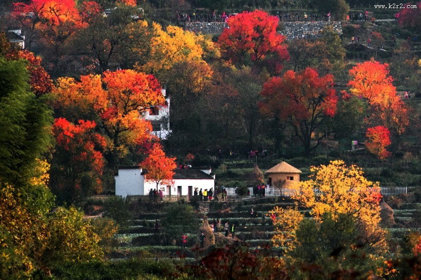 安徽塔川风景图片大全