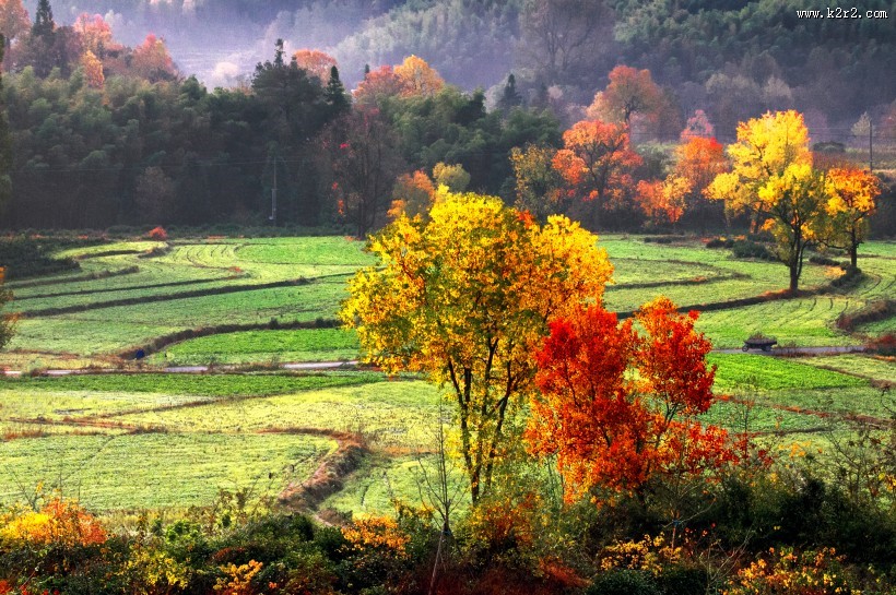 安徽塔川风景图片大全