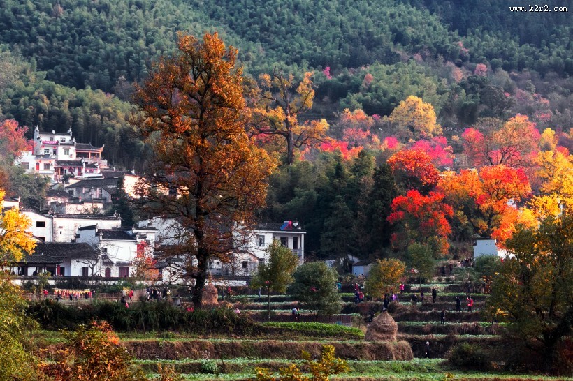 安徽塔川风景图片大全