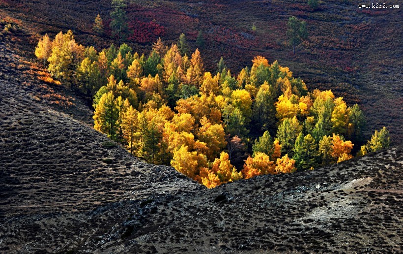 北疆秋色风景图片