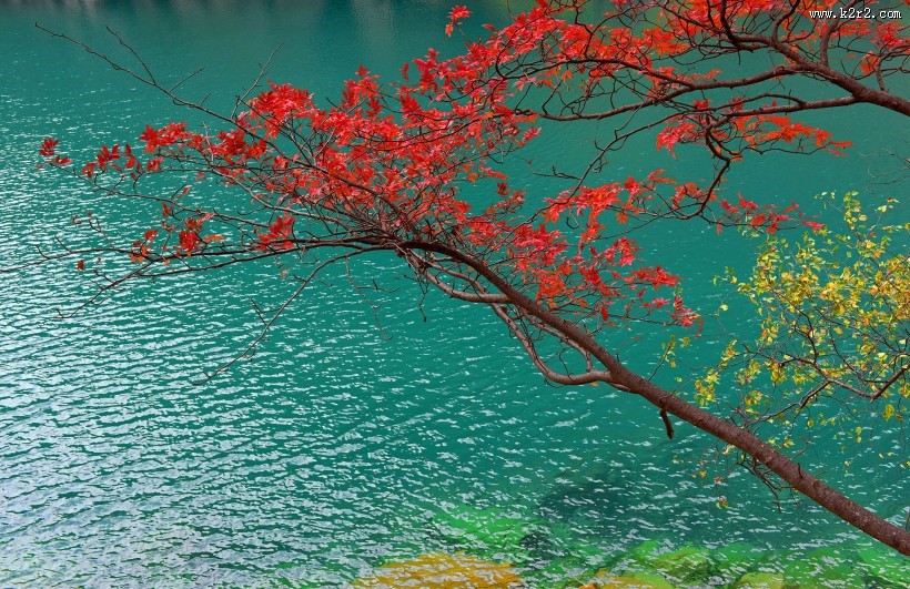 四川松坪沟风景图片