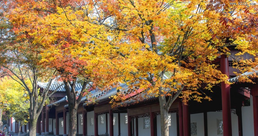 江苏南京明孝陵秋景图片