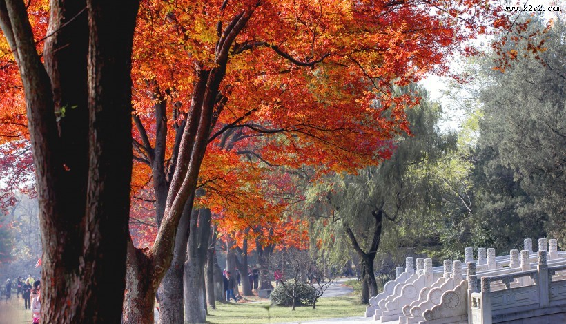 江苏南京明孝陵秋景图片