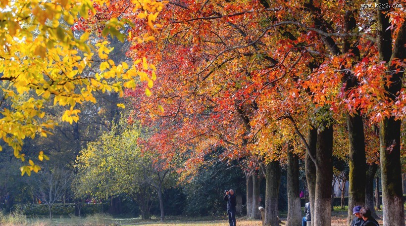 江苏南京明孝陵秋景图片