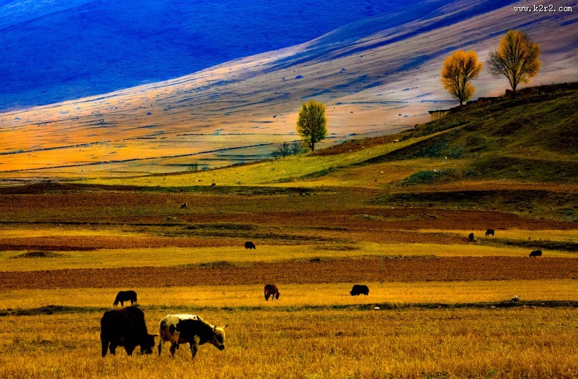 四川川西风景图片