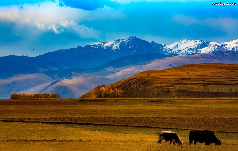 四川川西风景图片