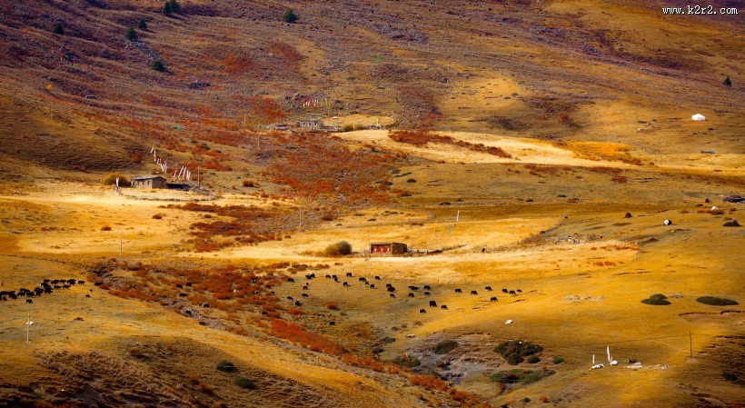 四川川西风景图片