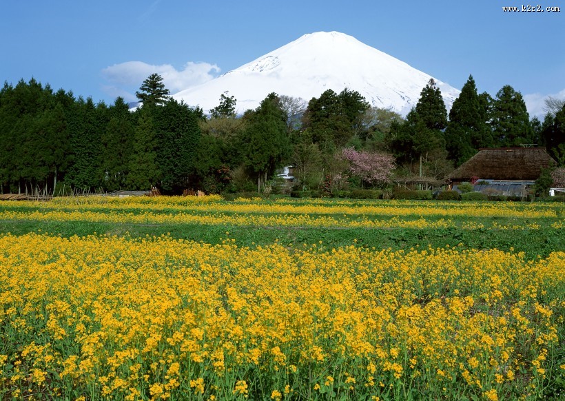 日本富士山春天风景图片