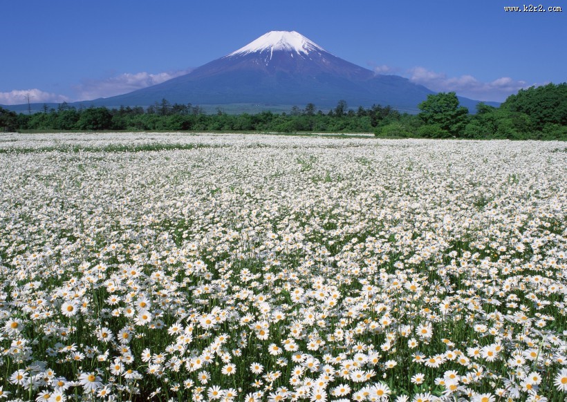 日本富士山春天风景图片