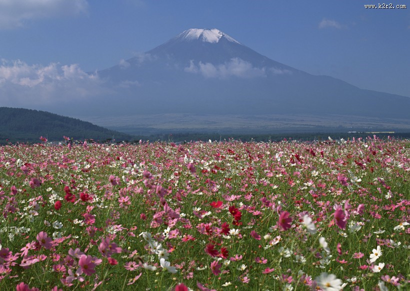 日本富士山春天风景图片