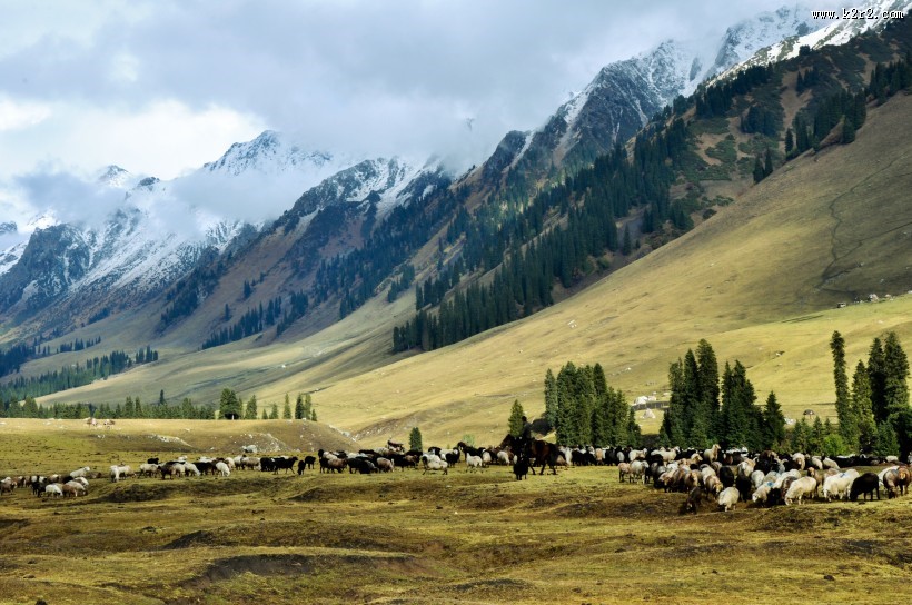 新疆孟克特风景图片