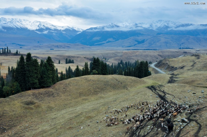 新疆孟克特风景图片