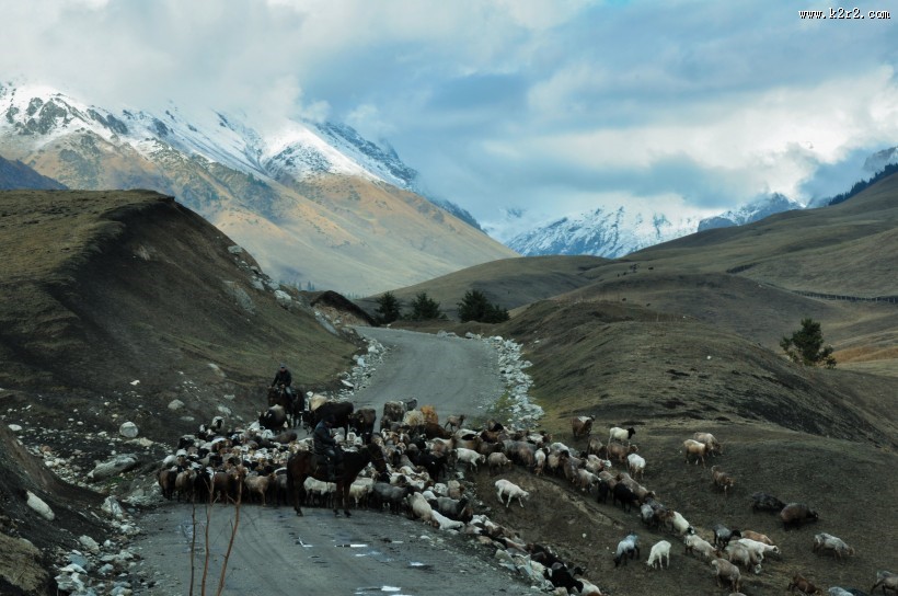 新疆孟克特风景图片