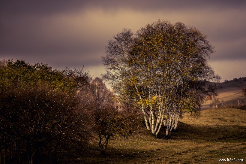 金秋乌兰布统风景图片