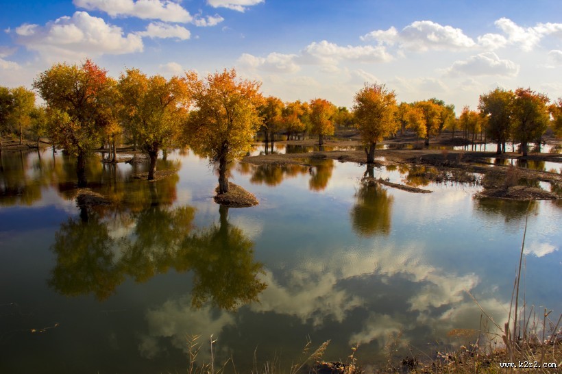 内蒙古额济纳胡杨林风景图片大全