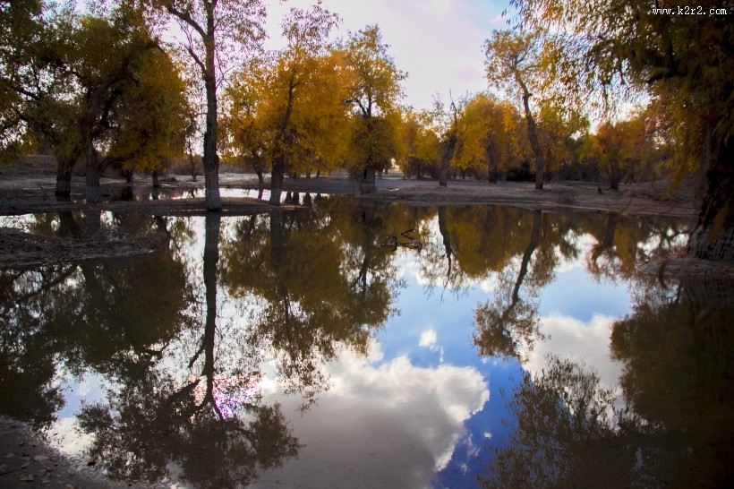 内蒙古额济纳胡杨林风景图片大全