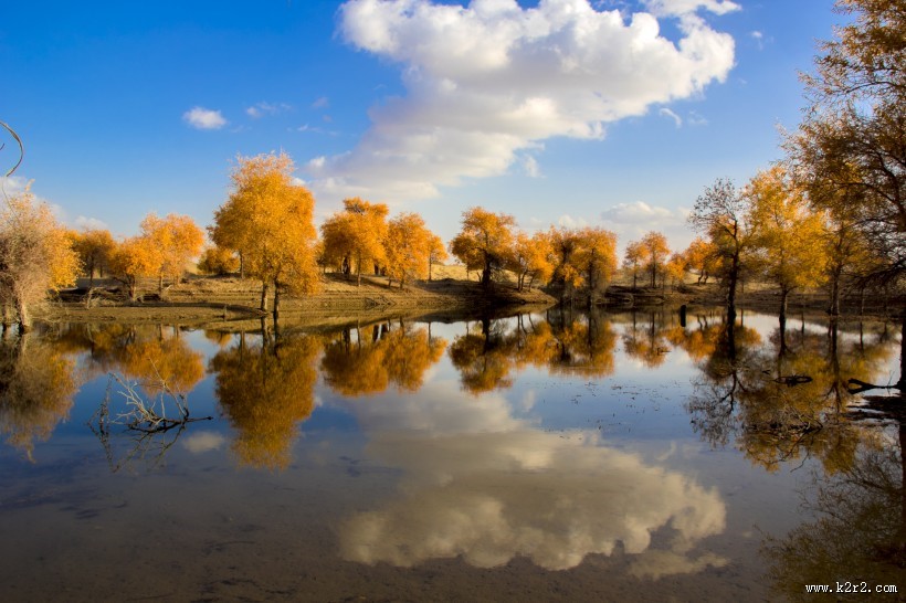 内蒙古额济纳胡杨林风景图片大全