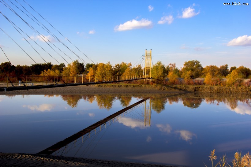 内蒙古额济纳胡杨林风景图片大全