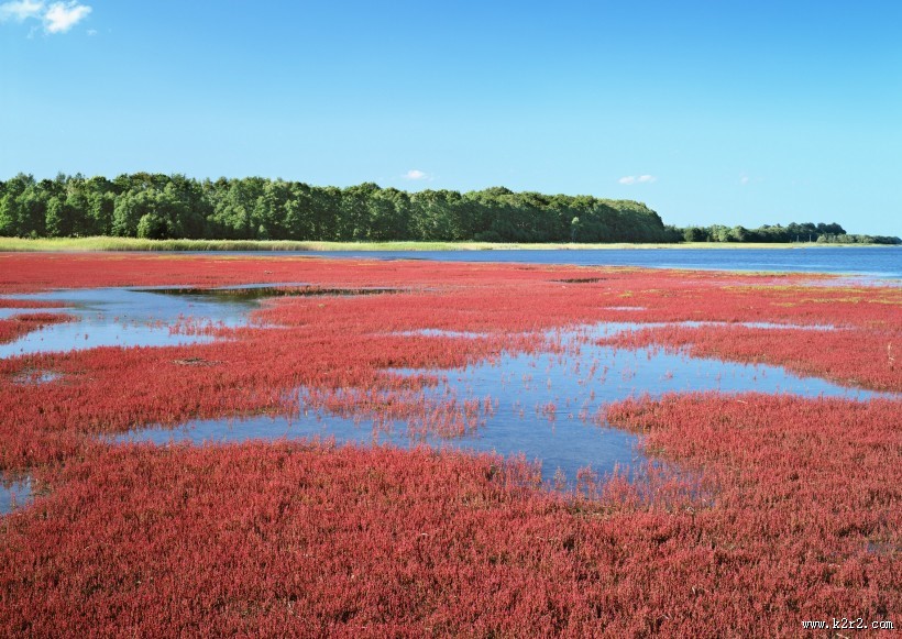 北海道风光图片