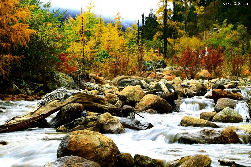 四川毕棚沟秋天风景图片