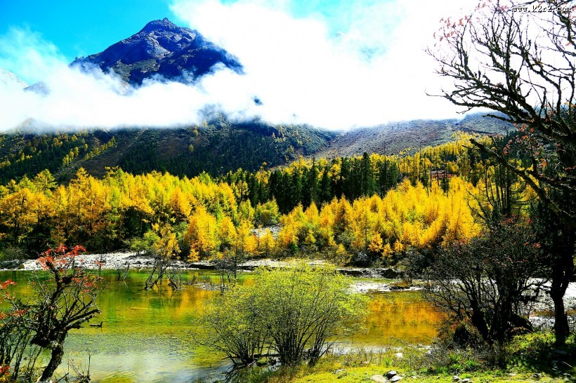 四川毕棚沟秋天风景图片